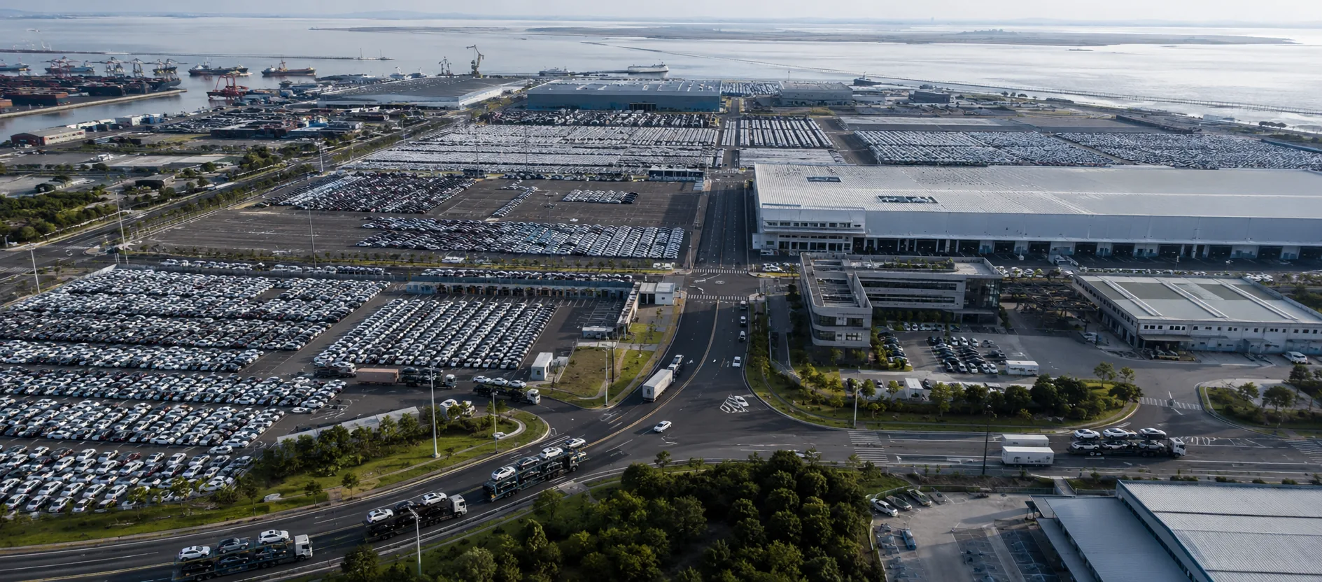Consultoria de inteligência automobilística